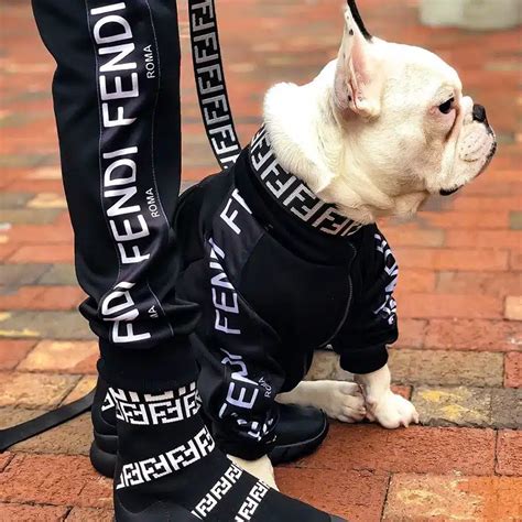 fendi dog leash.